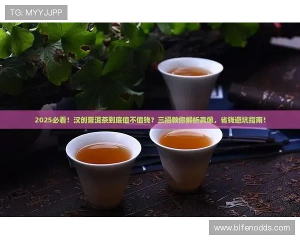 买波胆不中策略改变避坑指南 平台对比防骗推荐